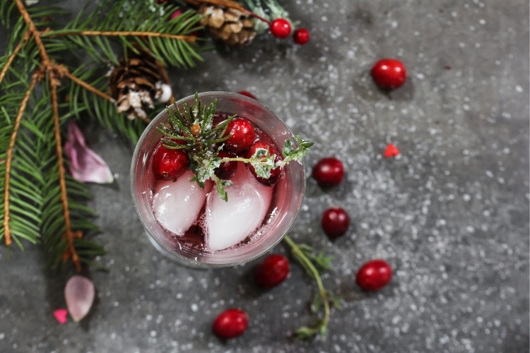 Apple Cranberry Spritzer holiday party Mocktail