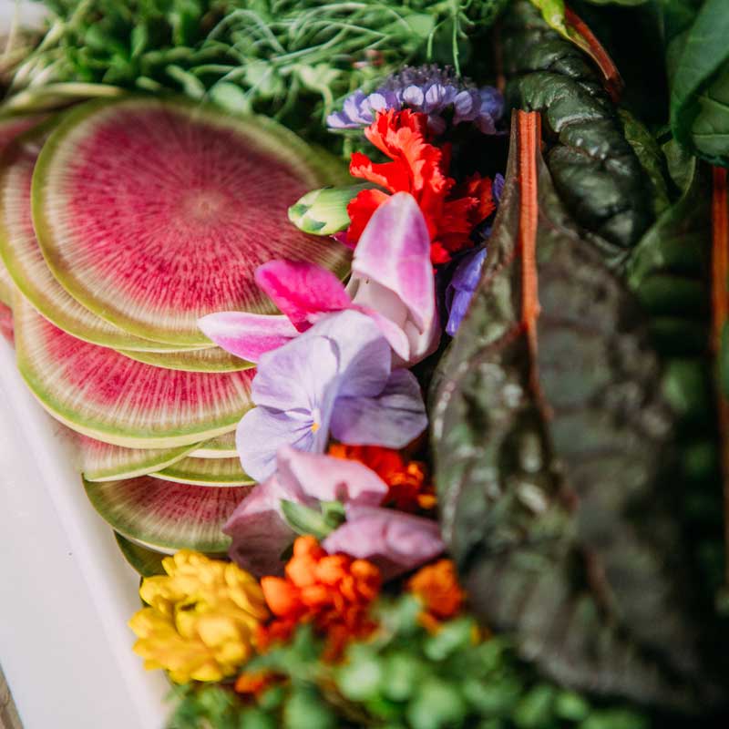 Organic Caterer, The JDK Group provides menus with organically-grown produce